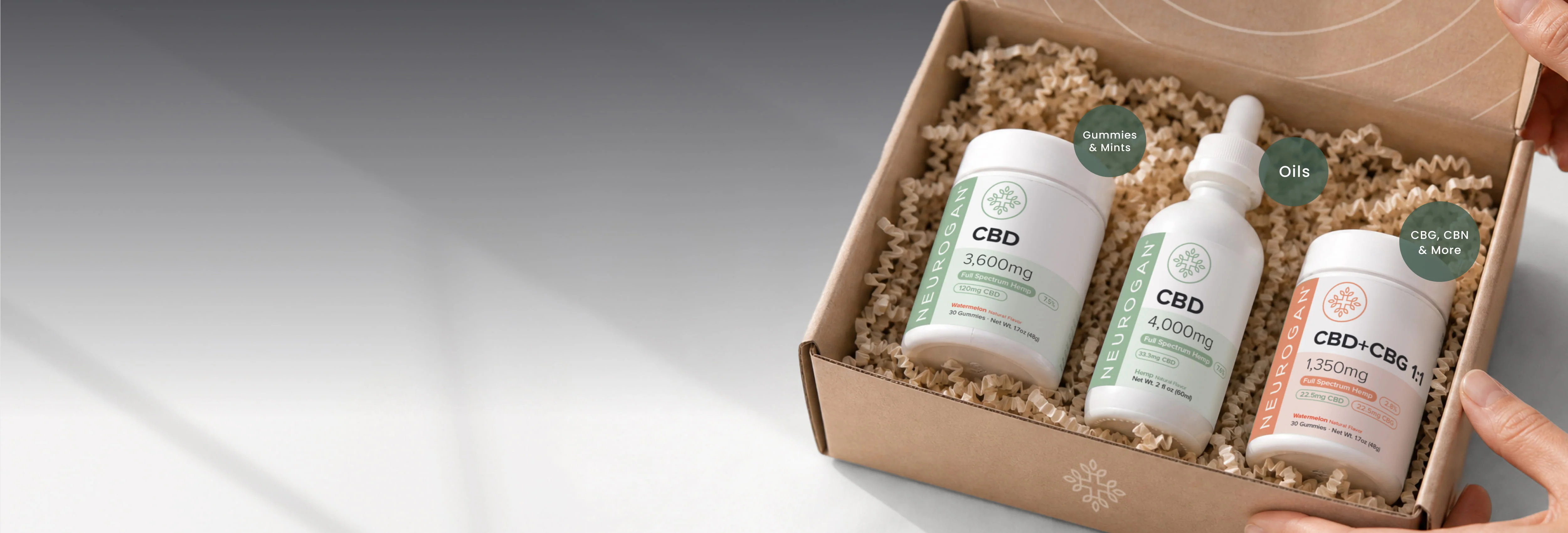 Potent Wellness for Every Body